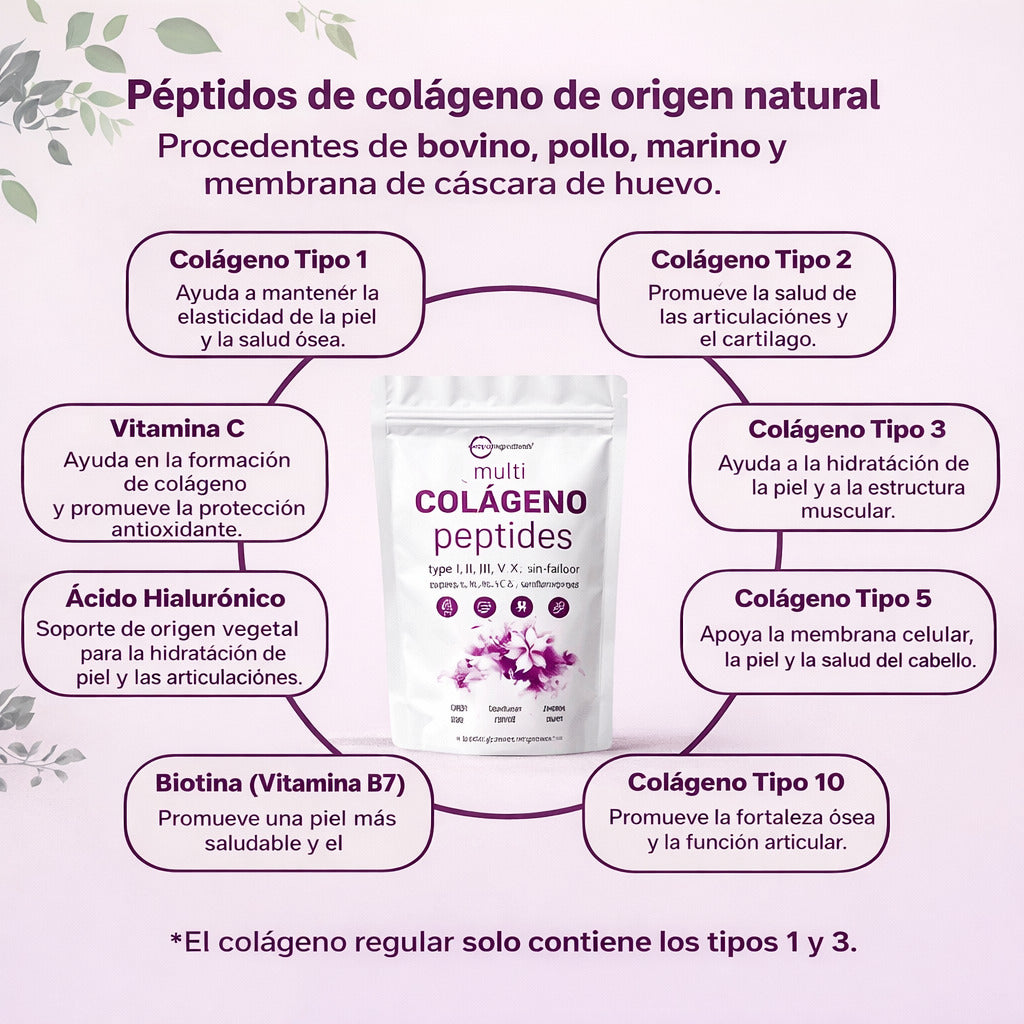 Encabezado