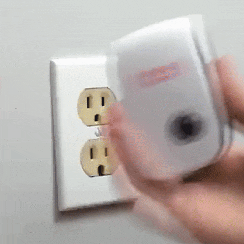 Encabezado